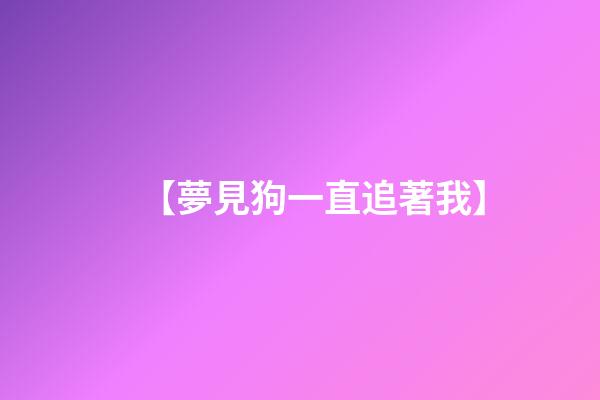 【夢見狗一直追著我】