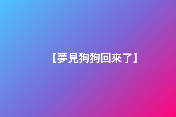 【夢見狗狗回來了】