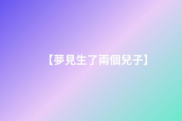 【夢見生了兩個兒子】
