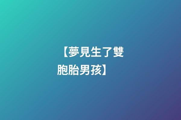 【夢見生了雙胞胎男孩】
