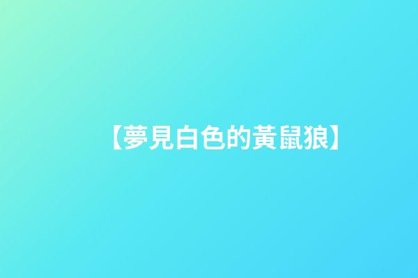 【夢見白色的黃鼠狼】