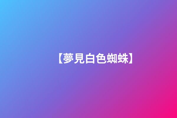 【夢見白色蜘蛛】