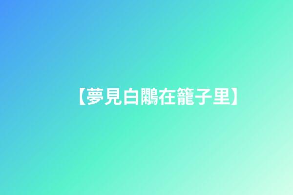 【夢見白鷴在籠子里】