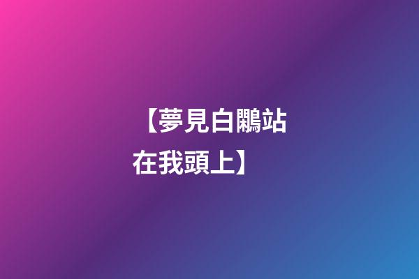 【夢見白鷴站在我頭上】