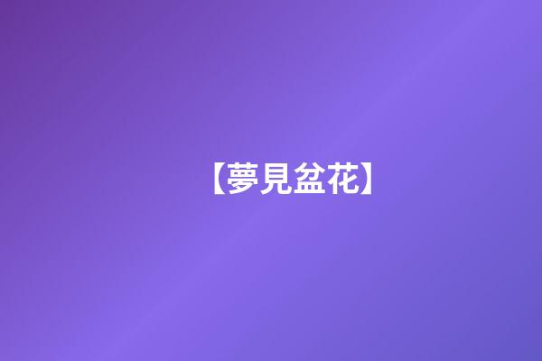【夢見盆花】