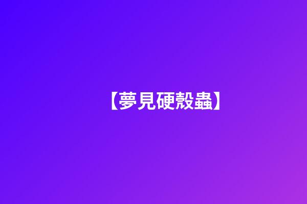 【夢見硬殼蟲】