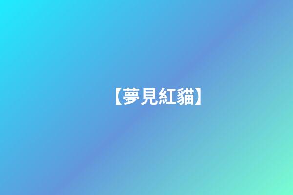 【夢見紅貓】