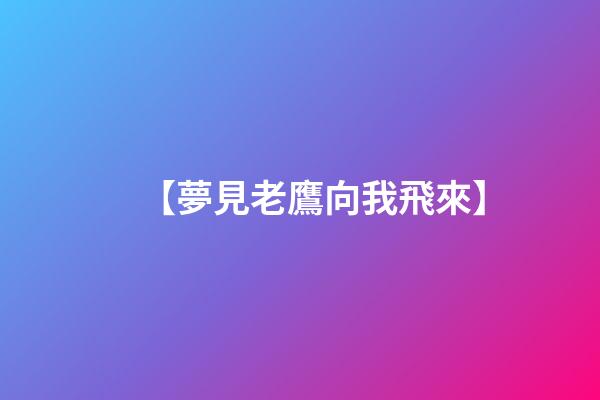 【夢見老鷹向我飛來】