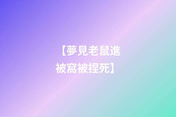【夢見老鼠進被窩被捏死】