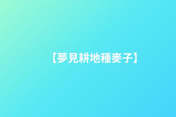 【夢見耕地種麥子】