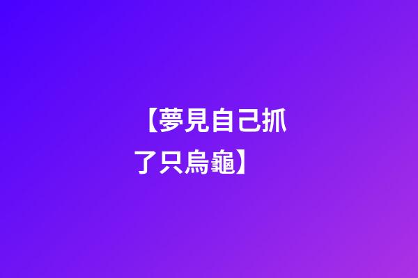 【夢見自己抓了只烏龜】