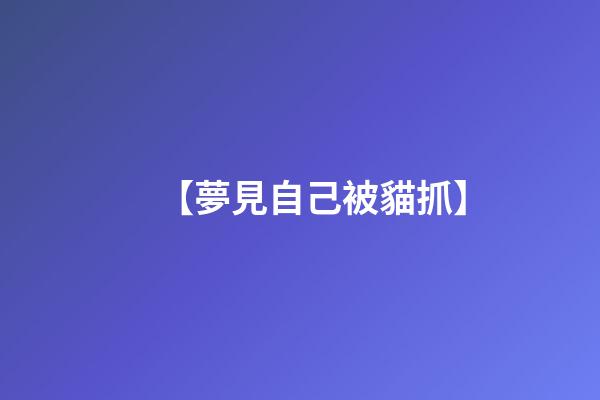 【夢見自己被貓抓】