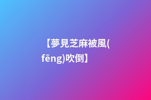 【夢見芝麻被風(fēng)吹倒】