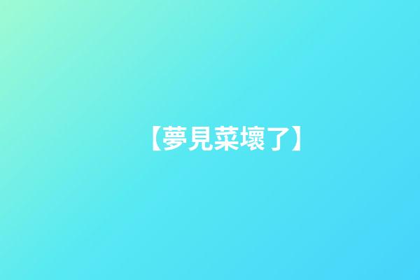 【夢見菜壞了】