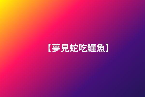 【夢見蛇吃鱷魚】