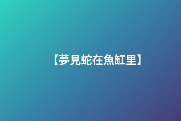 【夢見蛇在魚缸里】