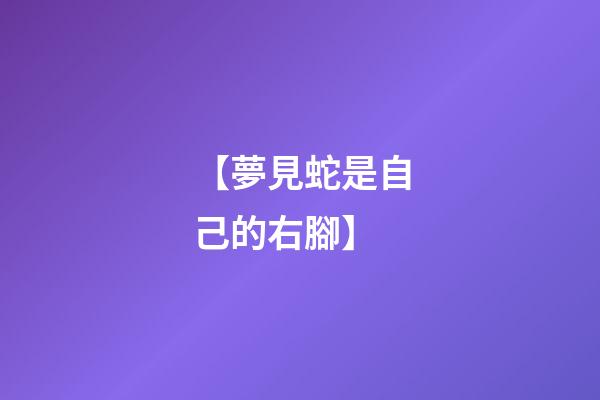 【夢見蛇是自己的右腳】