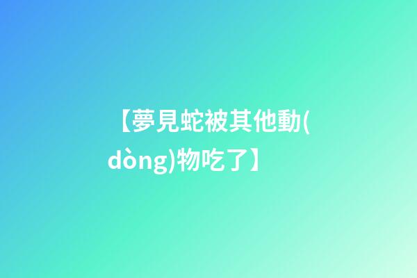 【夢見蛇被其他動(dòng)物吃了】