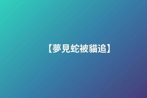 【夢見蛇被貓追】