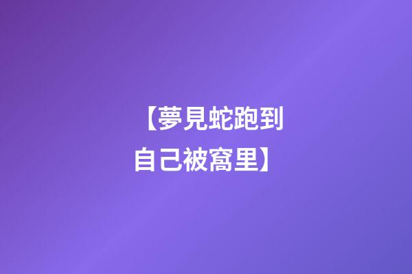 【夢見蛇跑到自己被窩里】