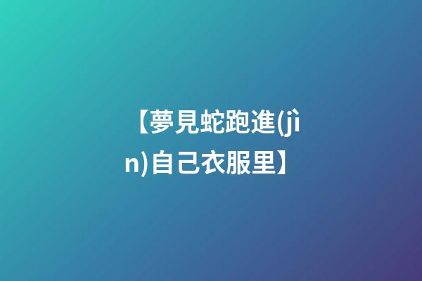 【夢見蛇跑進(jìn)自己衣服里】