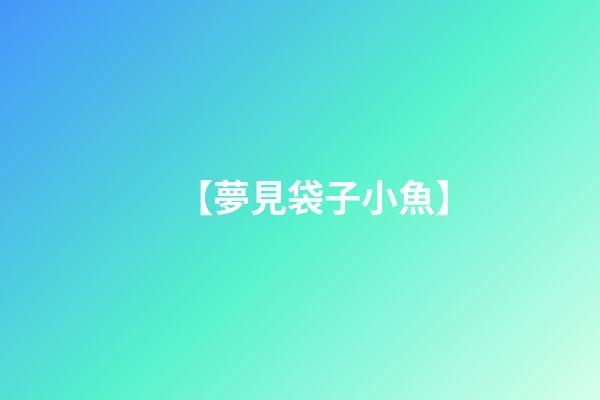 【夢見袋子小魚】