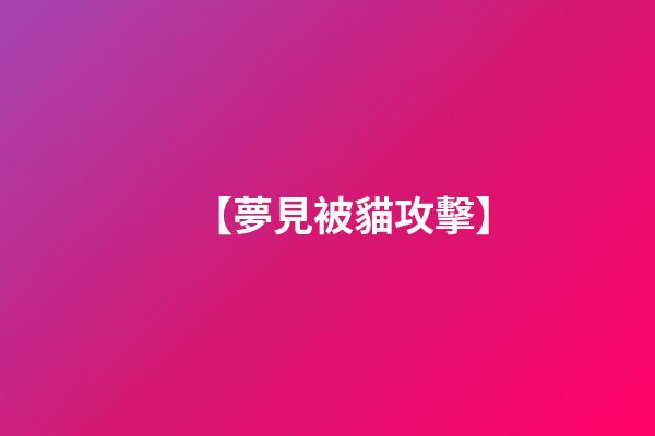【夢見被貓攻擊】