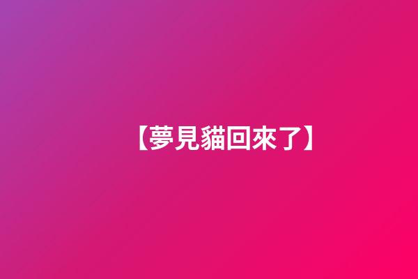 【夢見貓回來了】