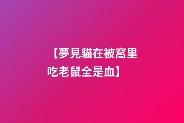 【夢見貓在被窩里吃老鼠全是血】