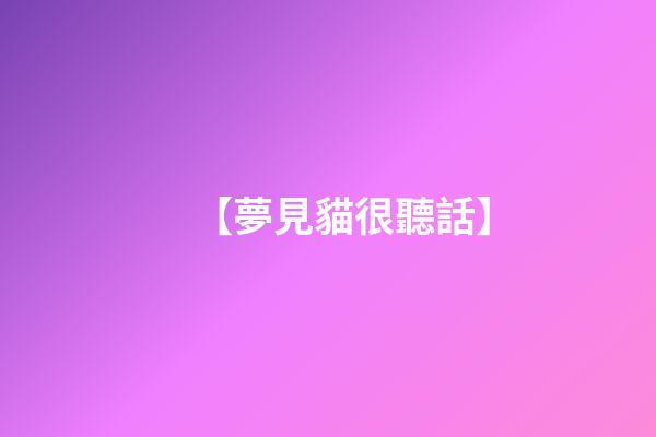 【夢見貓很聽話】