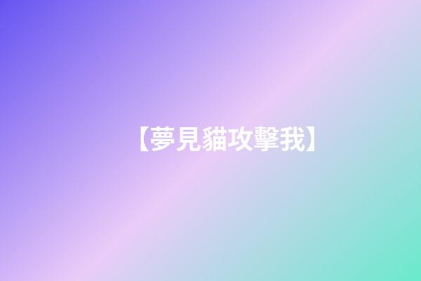 【夢見貓攻擊我】
