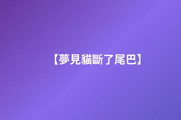 【夢見貓斷了尾巴】