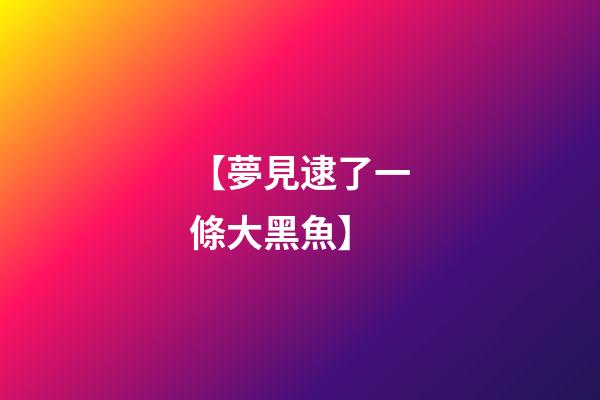 【夢見逮了一條大黑魚】