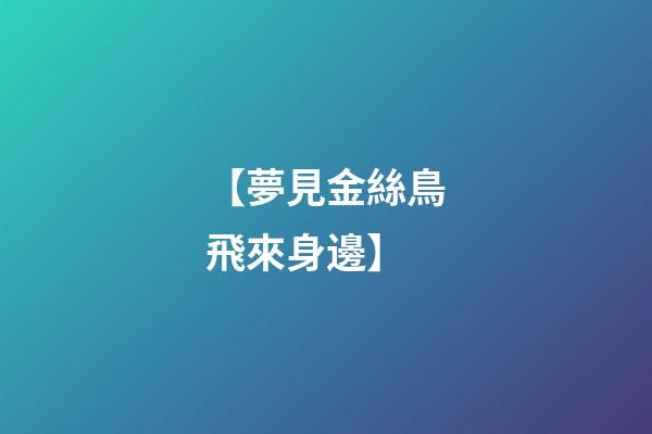 【夢見金絲鳥飛來身邊】