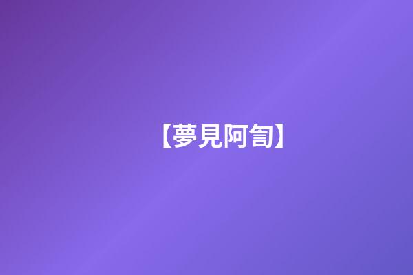 【夢見阿訇】