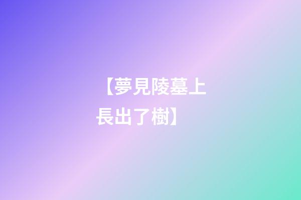 【夢見陵墓上長出了樹】