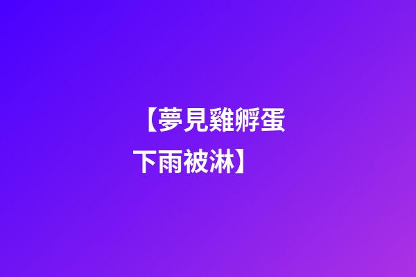 【夢見雞孵蛋下雨被淋】