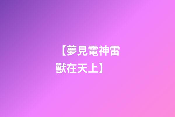 【夢見電神雷獸在天上】