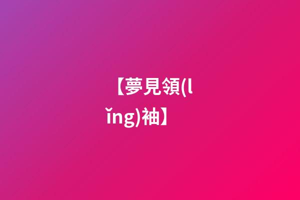 【夢見領(lǐng)袖】