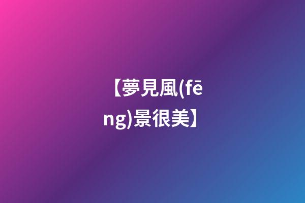 【夢見風(fēng)景很美】