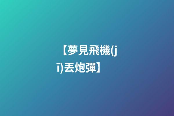 【夢見飛機(jī)丟炮彈】