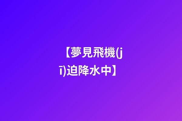 【夢見飛機(jī)迫降水中】