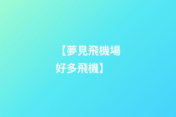 【夢見飛機場好多飛機】
