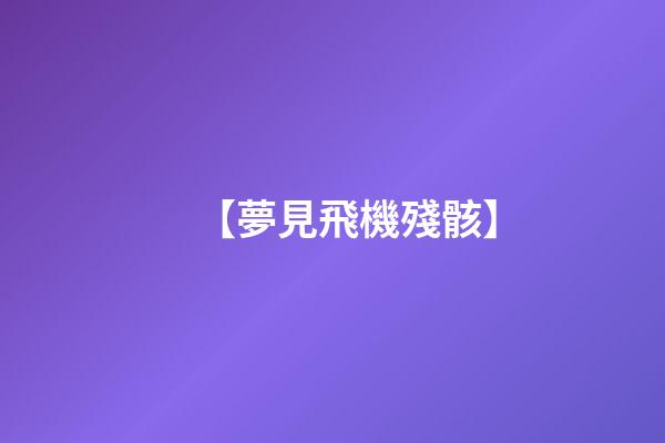 【夢見飛機殘骸】