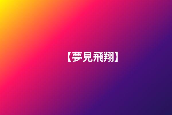 【夢見飛翔】