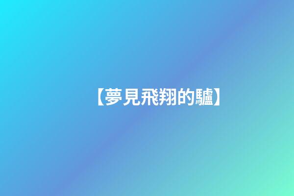 【夢見飛翔的驢】
