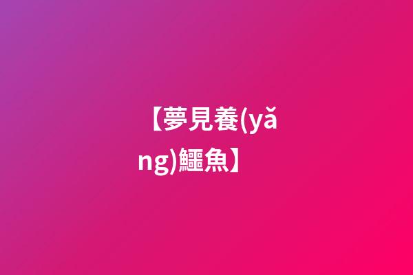 【夢見養(yǎng)鱷魚】
