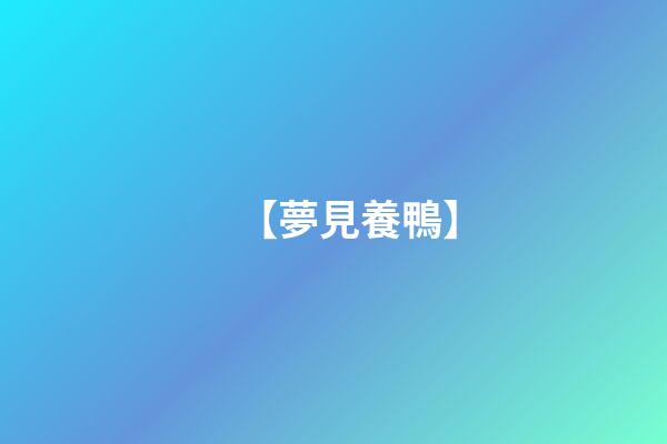 【夢見養鴨】