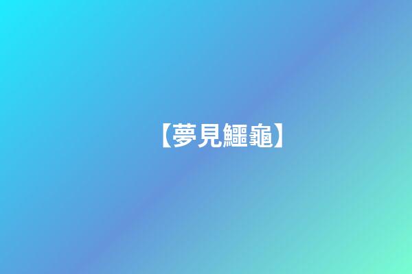 【夢見鱷龜】