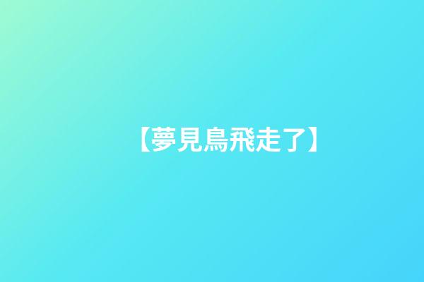 【夢見鳥飛走了】